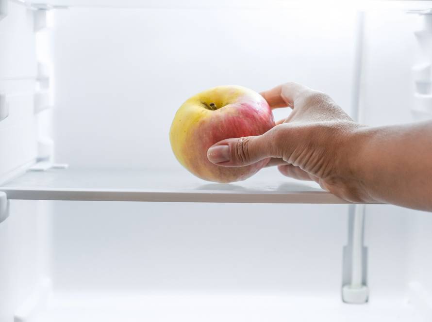 World food crisis, empty refrigerator, food and income drops, food crisis, sanctions