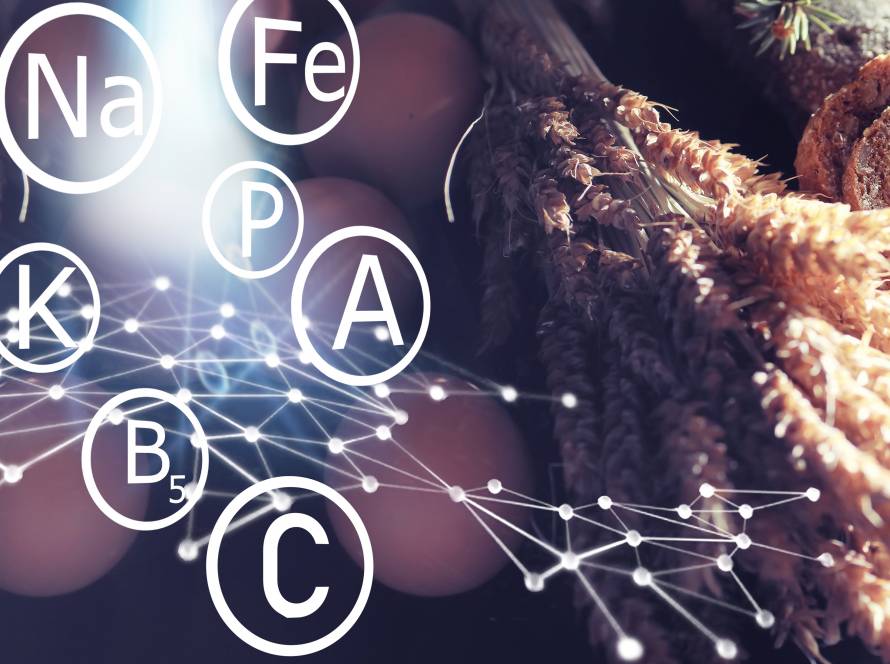 chemische Zusammensetzung und Brot